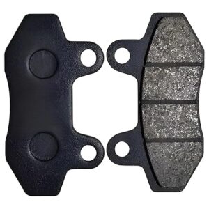 HCH DP29 Brake Disc Pad Compatible for Hyosung GT250R / Okinawa Praise/TES electric scooter | Count (Pack of 1)